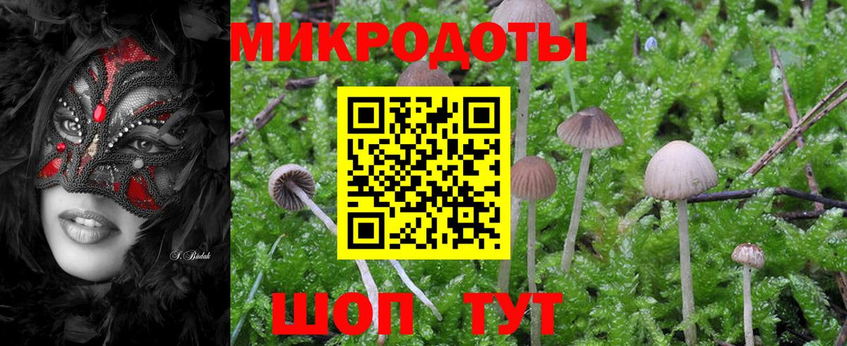 Псилоцибиновые грибы мицелий Котовск