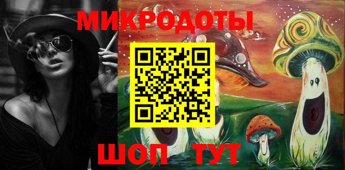Котовск  Галлюциногенные грибы Cubensis  Вход с VPN 